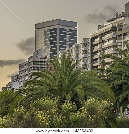 Modern Buildings In Montevideo Uruguay