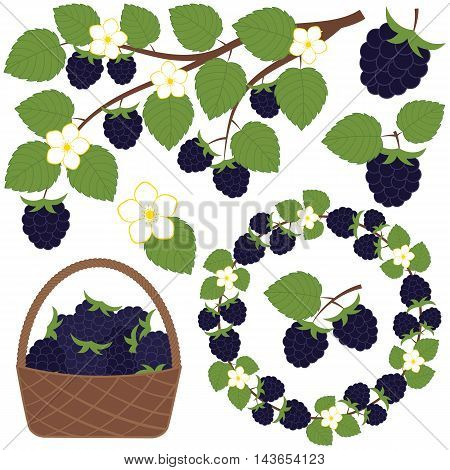 Vector blackberry set with basket branch and wreath
