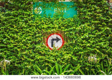 Turns to the right sign with green leaf