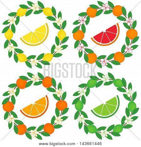 Vector citrus wreath - oranges grapefruits limes and lemons