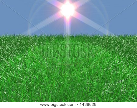 Fint græs med Flare lys effekt