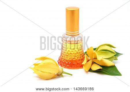 Ylang-Ylang essential oil with flowers isolated on white background.