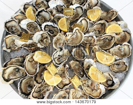 A platter of fresh raw oysters on ice with butter and lemon quarters