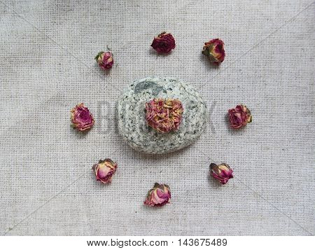 Dry rosebuds and stone on linen background