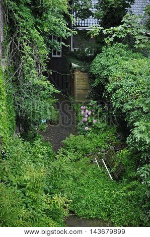Amsterdam Netherlands - July 30 2016: An old wooden bench among japanese grass in a public garden in the Oosterparkbuurt.