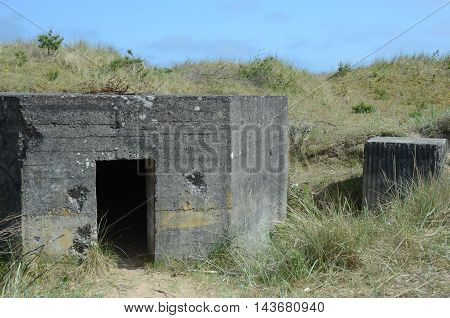 A view of an old gun battery and coastal defences at Tentsmuir forest