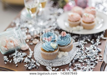 Candy Bar. Delicious sweet buffet with cupcakes, big cake and marshmallow.
