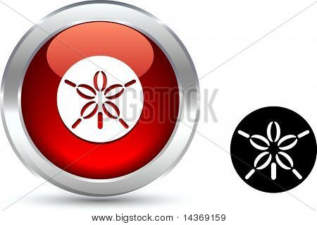 Sand dollar realistisk knap. Vektor illustration.