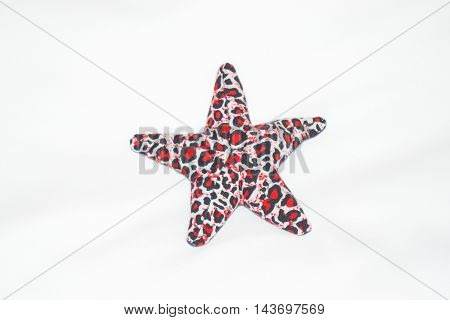 star fish on white back ground resort image