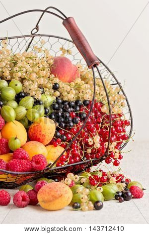 Summer fruits and berries - red black and white currants raspberries gooseberries peaches and apricots. Selective focus.