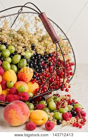 Summer fruits and berries - red black and white currants raspberries gooseberries peaches and apricots. Selective focus.