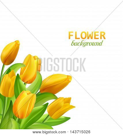 Illustration Spring Natural Bouquet with Yellow Tulips Flowers Isolated on White Background - Vector