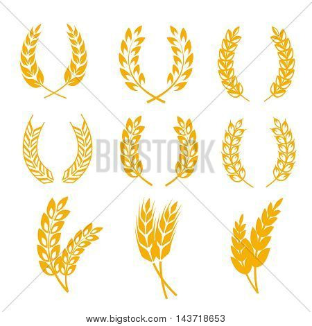 Rye wheat ears wreaths vector elements for bread and beer labels and logos. Harvest cereal golden rye illustration