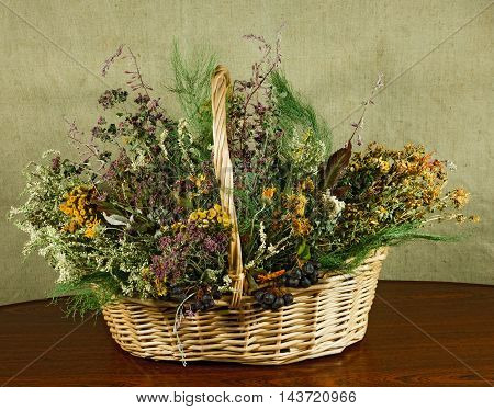 Basket with healing herbs. Dried plant for use in alternative medicine. Herbal medicine phytotherapy medicinal herbs. For preparation of infusions decoctions tinctures powders ointments tea.