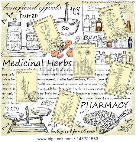 Hand drawn healing herbs postcards. Vintage design with medicinal herbs and pharmacy illustration. Set of vector sketches.