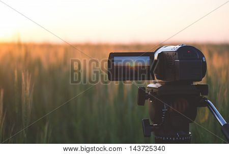 Video of the sunset in the field