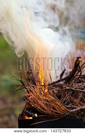 Bonfire, Burning branches, macor fire and smoke