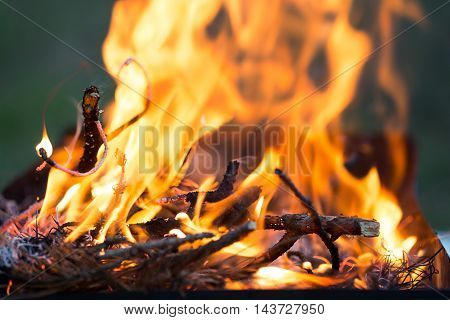 Bonfire, Burning branches, macor fire and smoke