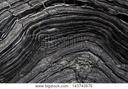 Chinese Black Wooden Vein Marble Tile background