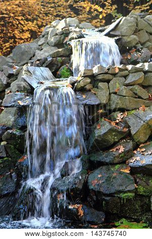 Small Autumn Brooklet