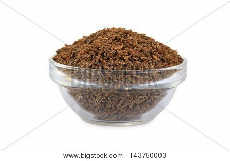 caraway (carum carvi) isolated on white background