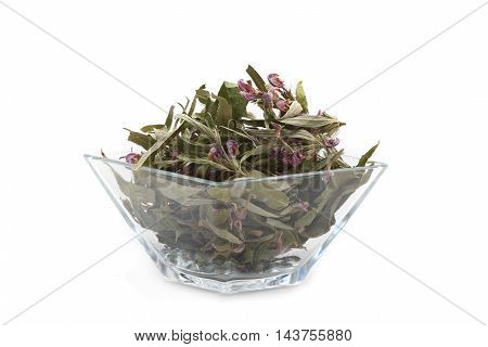 zopnik in glasswares on a white background
