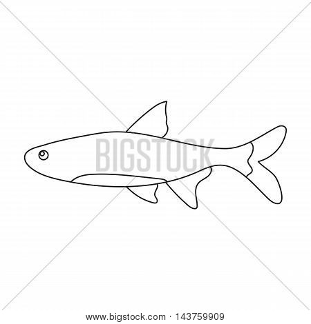 Neon fish icon line Singe aquarium fish icon from the sea, ocean life collection.