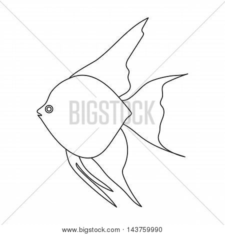 Angelfish common fish icon line. Singe aquarium fish icon from the sea, ocean life collection.