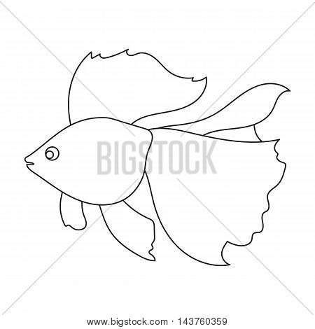 Gold fish icon line. Singe aquarium fish icon from the sea, ocean life collection.