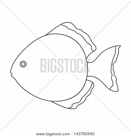 Discus fish icon line. Singe aquarium fish icon from the sea, ocean life collection.