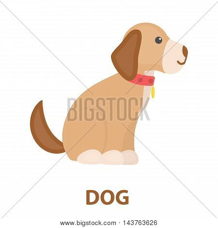 Sitting dog vector illustration icon in cartoon design