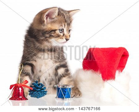 Cute kitten with accessories of celebration of new year isolated on white background
