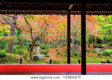 Enkoji Temple With Japanese Autumn Garden