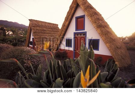 Europe Portugal Madeira Santana House