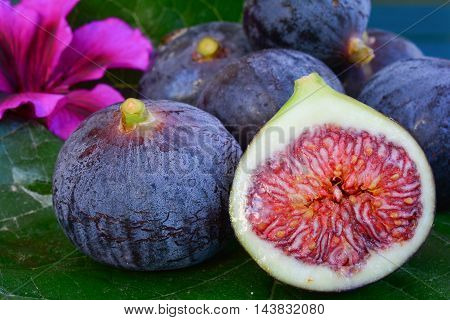 Several ripe blue figs and pink flower on big mulberry leaf over blue wooden background sidr view cross section close up