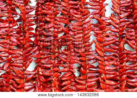 Strings of PDO Espelette chilli peppers drying, France