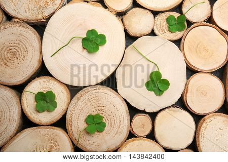 Green four-leaf clovers on wooden background