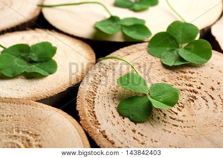 Green four-leaf clovers on wooden background