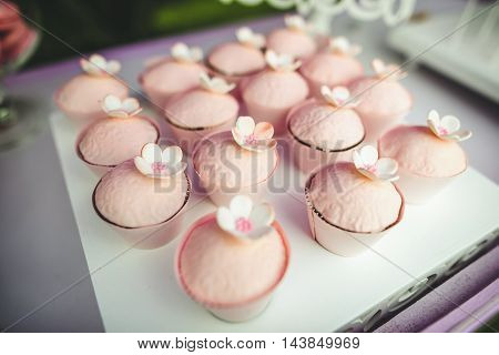 Pink cupcakes with flowers on the holiday table