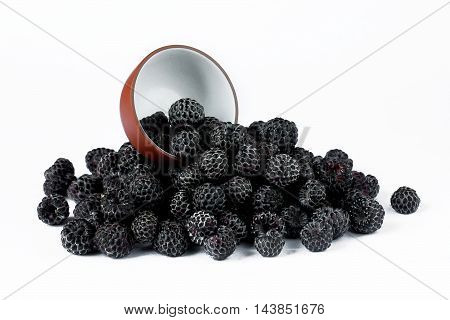 Black Raspberry Cumberland isolated on white background