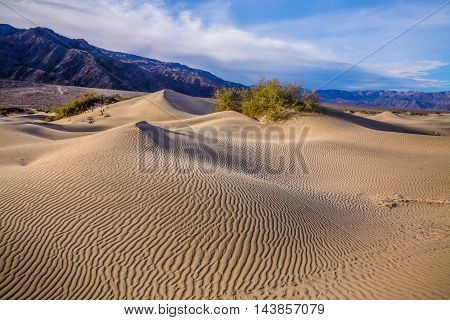 Rippled sand dunes and mountains in mid morning light at Stovepipe Wells Death Valley National Park California USA