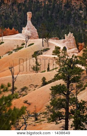 Bryce Canyonu stezka