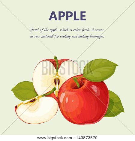 Illustration fruit composition filled in by hand in a vector