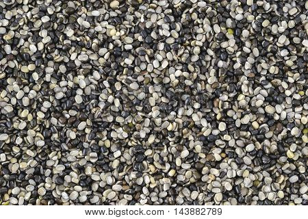 Split black lentil (urad dal) filled in as background