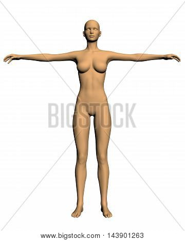 Realistic girl in a pose with arms raised. Polygonal skin girl. Vector illustration of a girl. 3D girl vector. Naked girl. EPS 8. Medical examination of the girl.