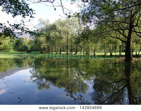 Landscape between forests and water after a heavy rain
