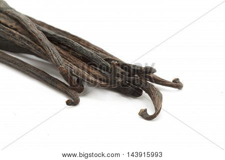 Organic dry sticks of Vanilla (Vanilla planifolia) isolated on white background. Macro close up. Front view.