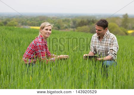Female farmer speaking and examine with agronomist technician