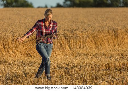 farmer and sanitory technician cheking wheat crop