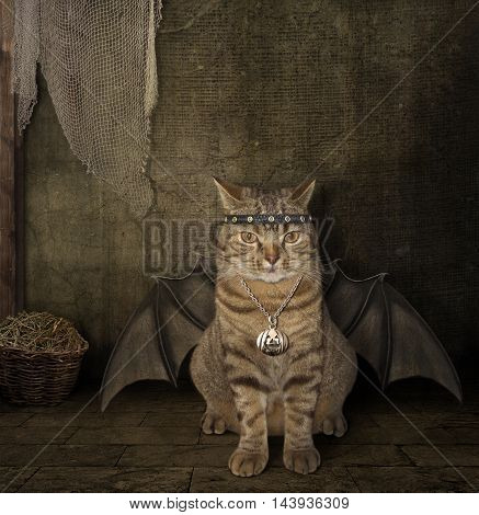 A cat has a wings. It looks like a bat.